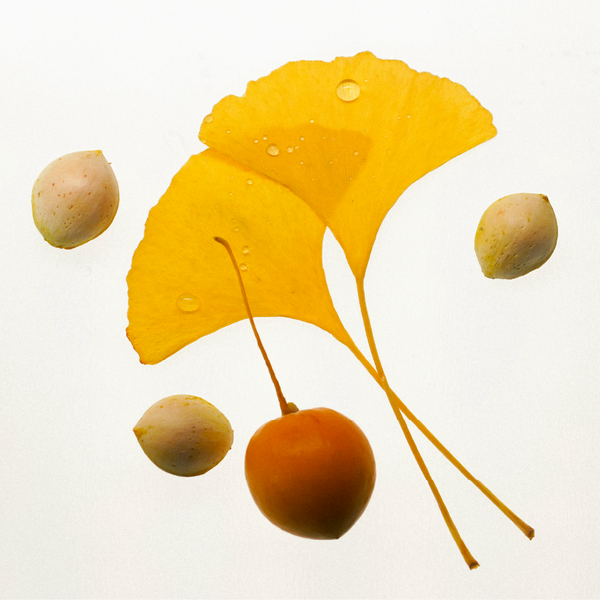 Ginkgo Biloba Leaf Extract — helps reduce signs of fatigue and supports skin comfort
Houttuynia Cordata Extract — known for its calming and soothing properties